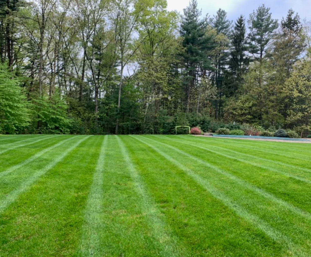 Freshly mowed striped lawn maintained by R&R Landscaping