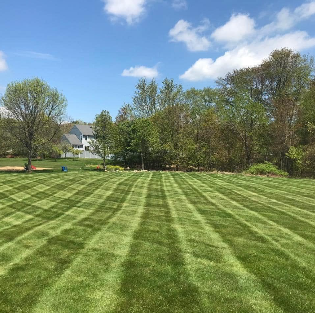R&R Landscaping project