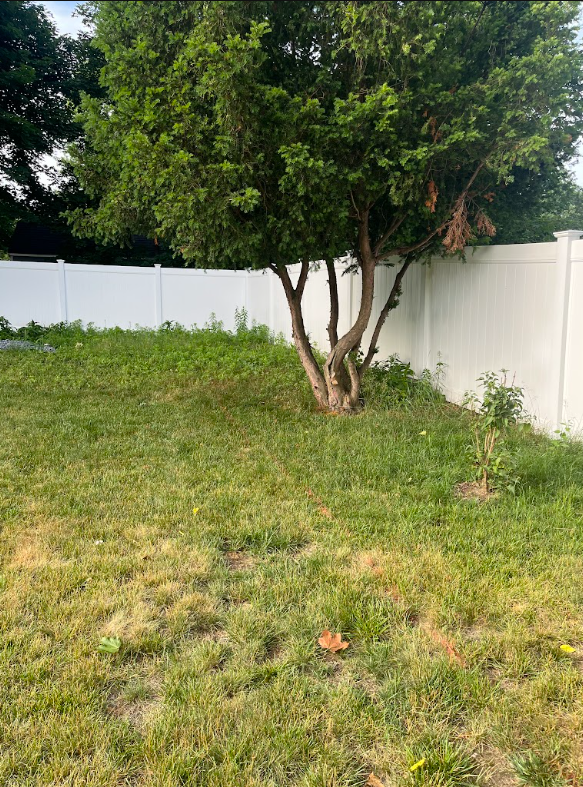 Mulch bed step 1