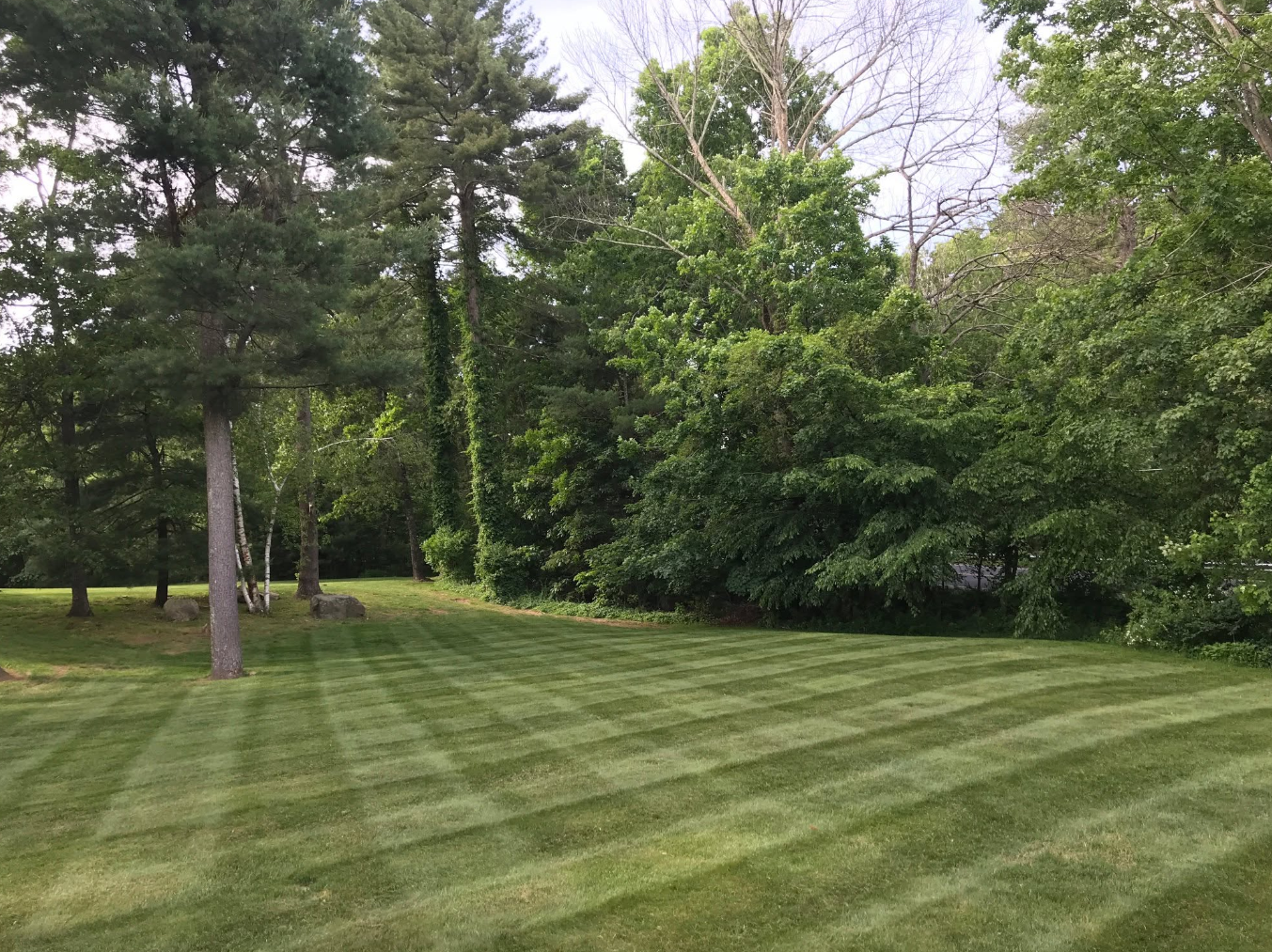 R&R Landscaping project