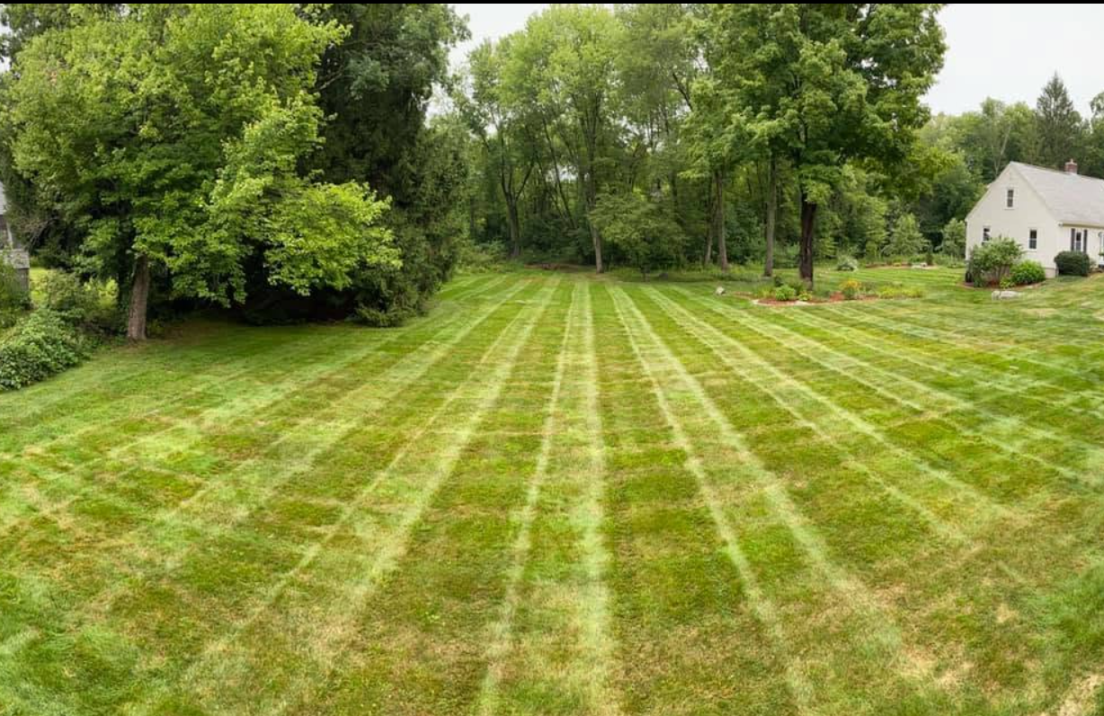 R&R Landscaping project